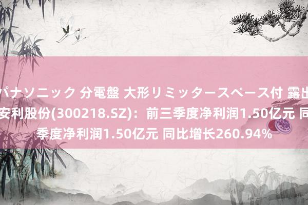 パナソニック 分電盤 大形リミッタースペース付 露出・半埋込両用形 安利股份(300218.SZ)：前三季度净利润1.50亿元 同比增长260.94%