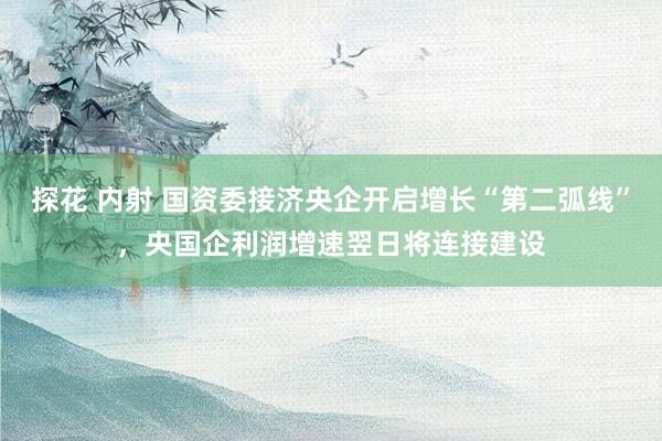 探花 内射 国资委接济央企开启增长“第二弧线”，央国企利润增速翌日将连接建设
