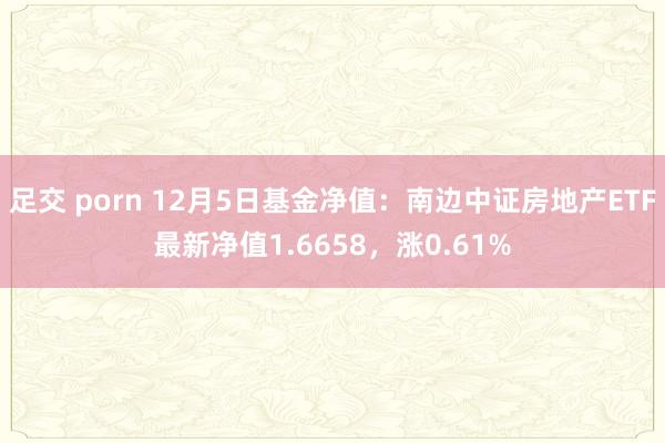 足交 porn 12月5日基金净值：南边中证房地产ETF最新净值1.6658，涨0.61%
