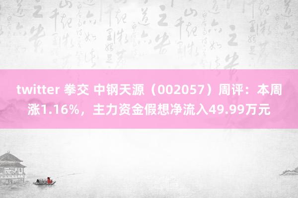 twitter 拳交 中钢天源（002057）周评：本周涨1.16%，主力资金假想净流入49.99万元