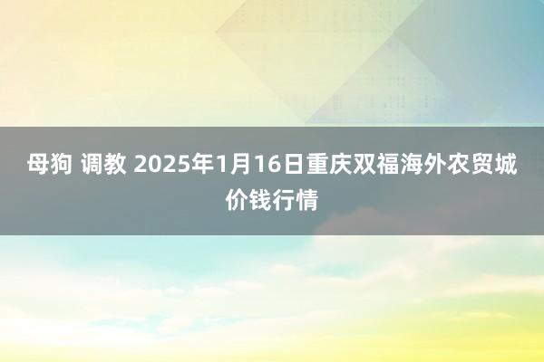 母狗 调教 2025年1月16日重庆双福海外农贸城价钱行情