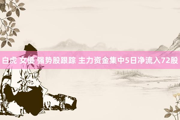 白虎 女優 强势股跟踪 主力资金集中5日净流入72股