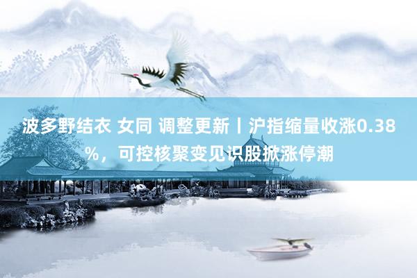 波多野结衣 女同 调整更新丨沪指缩量收涨0.38%，可控核聚变见识股掀涨停潮