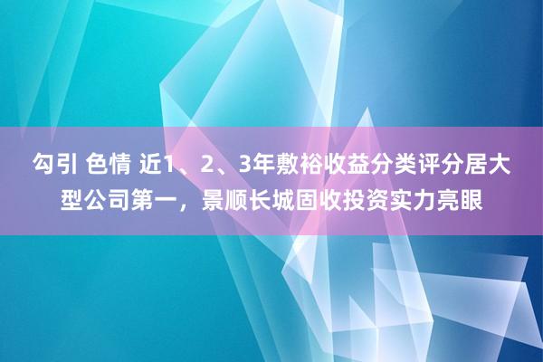 勾引 色情 近1、2、3年敷裕收益分类评分居大型公司第一，景顺长城固收投资实力亮眼